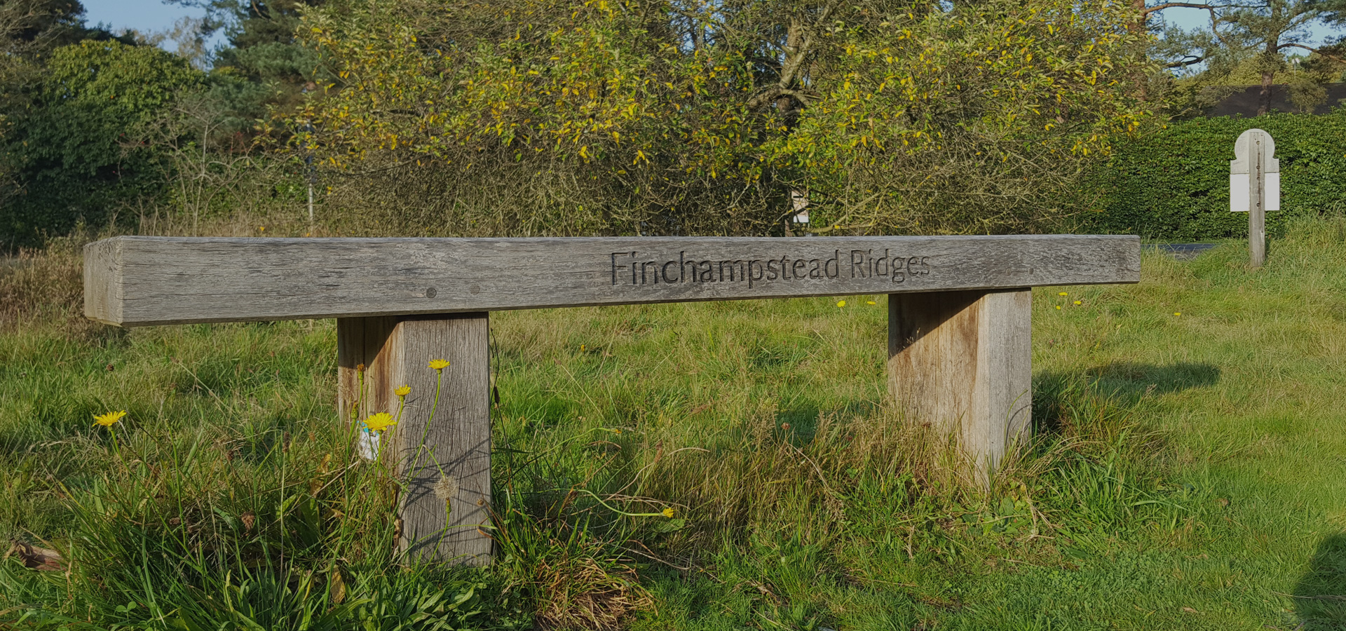 Wooden bench in grass with Finchampstead Ridges engraved on it