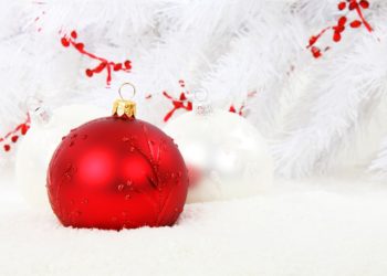 red shiny bauble on white background