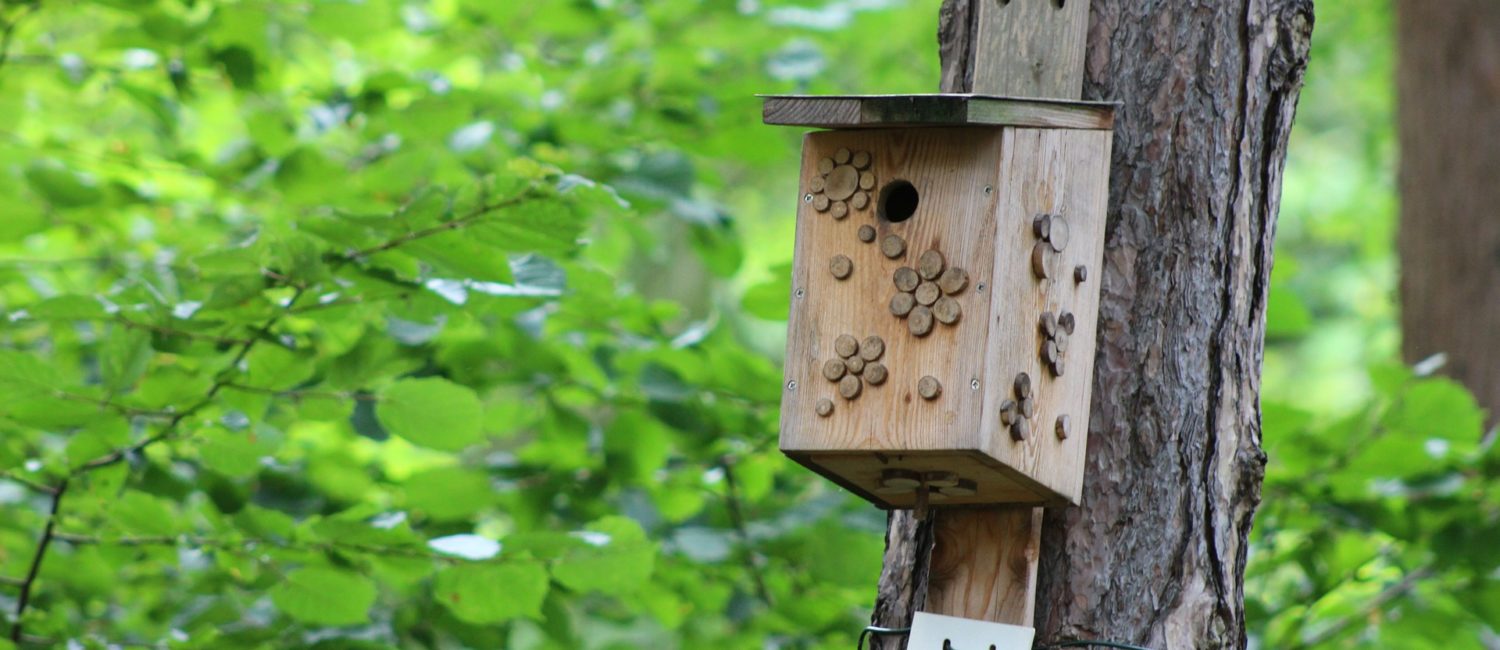 Wooden bird nestbox on a tree