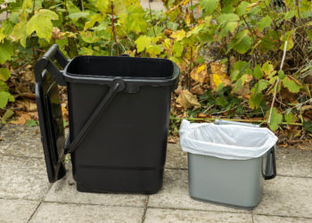 Large black food waste caddy and small grey caddy
